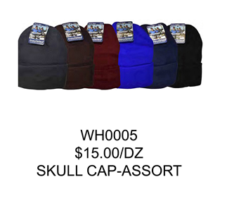 DZ)WINTER SKULL CAP ASSORT WH0005