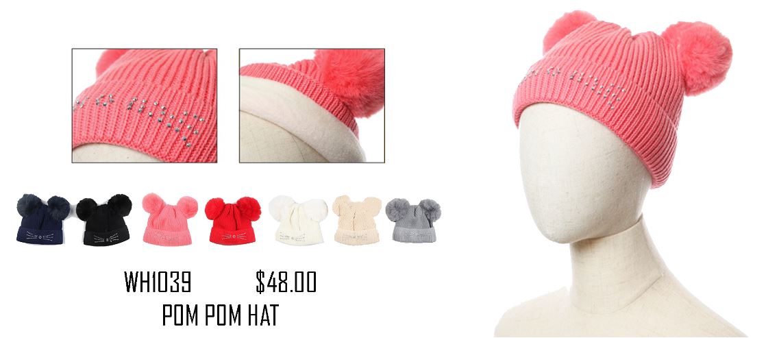 WH1039 ASSORT WINTER HAT