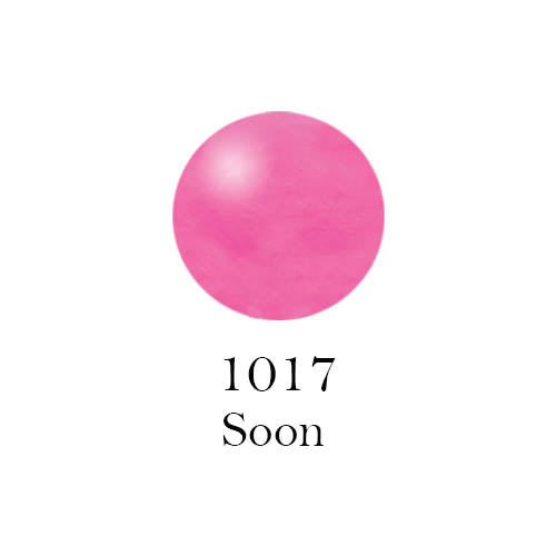 IR1017, PC) IRIS COLORS NAIL POLISH #1017